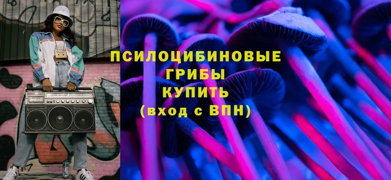 Галлюциногенные грибы MAGIC MUSHROOMS  Котовск 